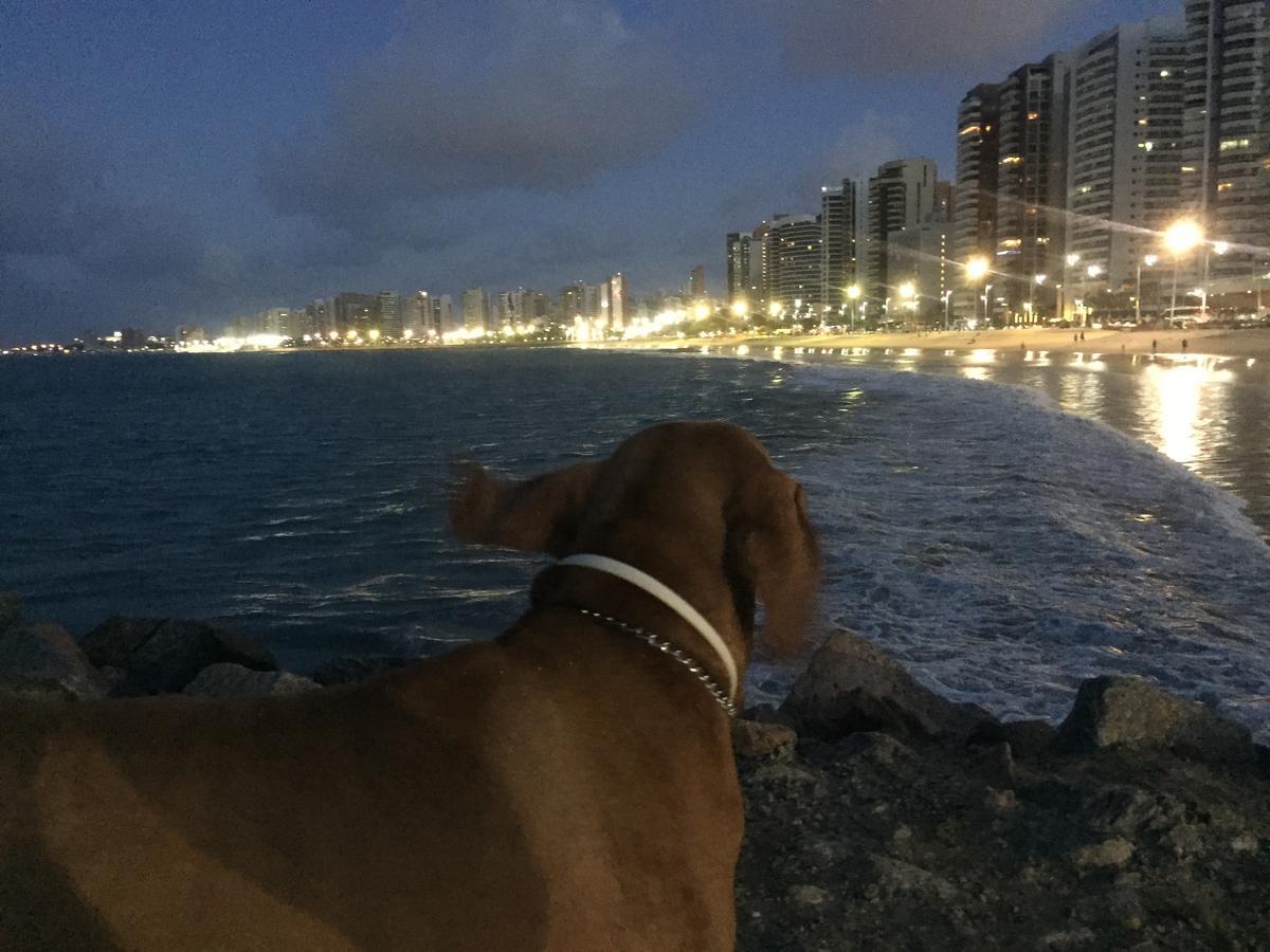 Apartamento Na Melhor Localizacao De Fortaleza!! Exteriör bild